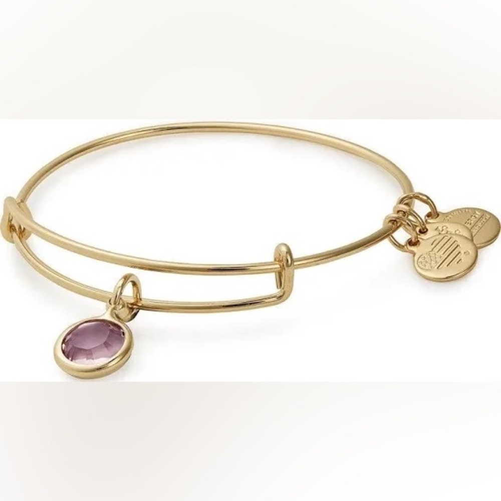 Alex and Ani June Birthstone